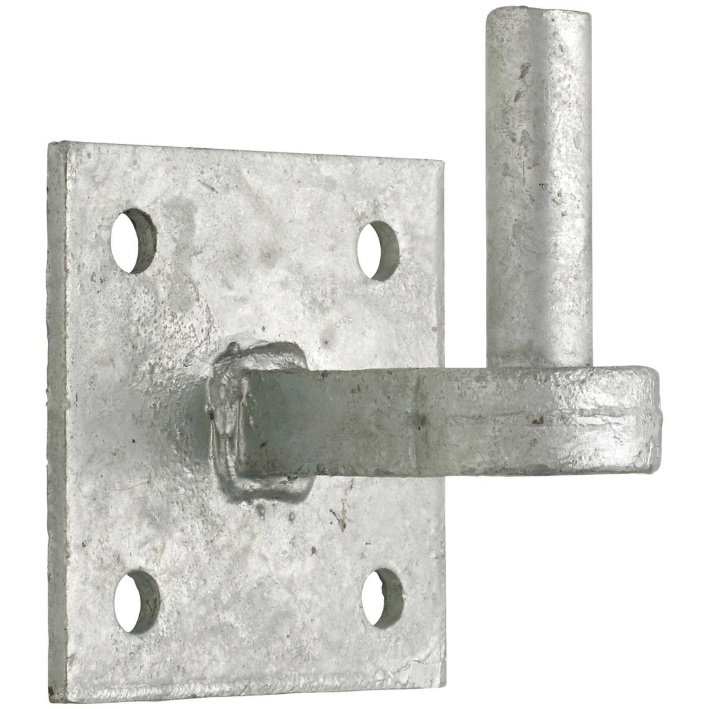 Perry duimplaat 19mm gegalvaniseerd